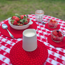 AGNI Handmade Eco Felt Table Mat Placemat 4pc Set