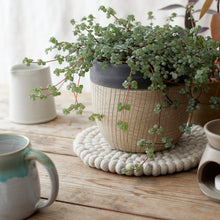 MILDO Handmade Felt Ball Table Mat Trivet