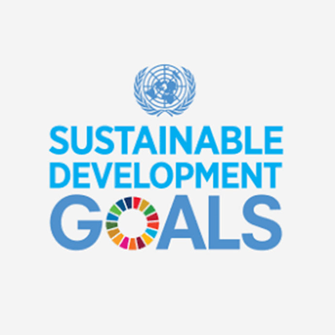 What are the Sustainable Development Goals?
