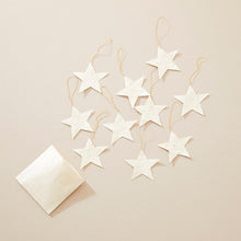 DEEPIKA Lokta Paper Star Hanging Decoration 10pc Set